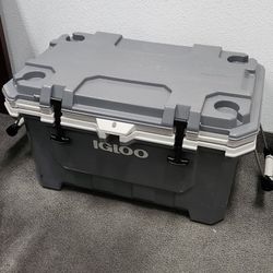 IGLOO COOLER