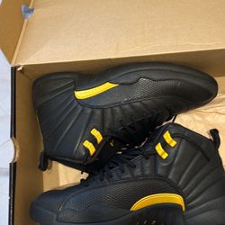 Air Jordan 12 Black Taxi Size 9.5