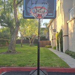 Basketball Hoop
