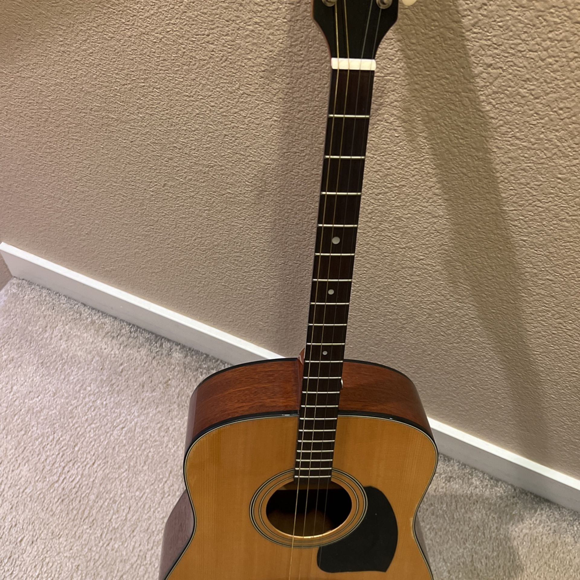 Ibanez 4 String Acoustic Guitar 