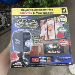 Christmas window Display