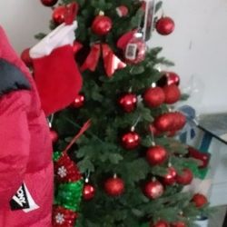 Christmas Tree