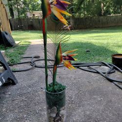 Birds Of Paradise Flower Arrangement Flora Vase