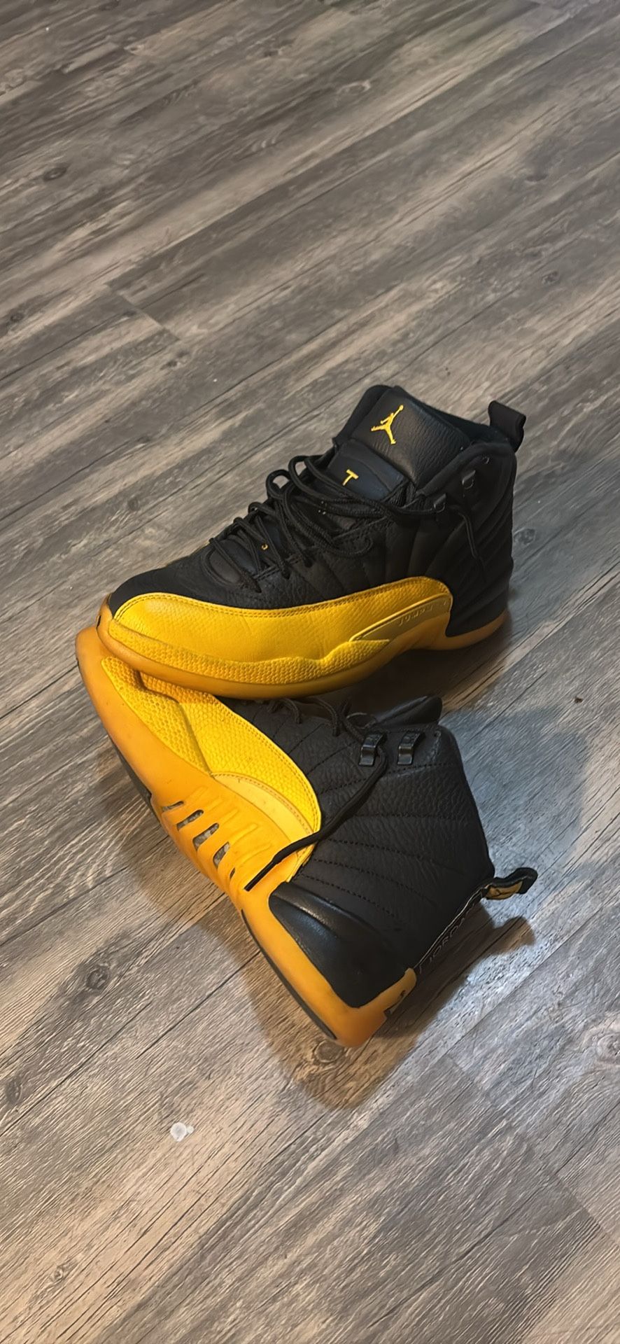 Jordan 12