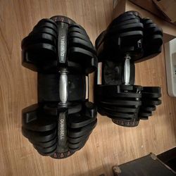 Adjustable 1090 Dumbbells - similar to Bowflex 1090
