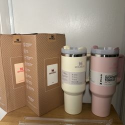 White & Pink 40 OZ Stanley Quencher Tumbler  