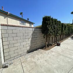 Block Wall With Brick Caps 