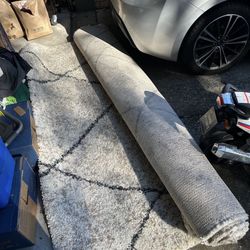 Thomasville Shag Rug