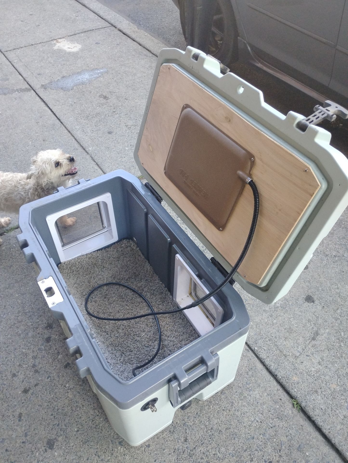 Customize Heated pet shelter igloo cooler
