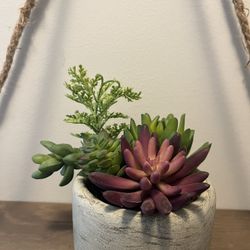 Faux  Cement Plant With Pot 