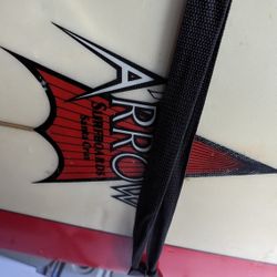 Pearson Arrow Surfboard Santa Cruz 10'2 With Fin