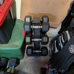 Weight Bench And Weights 