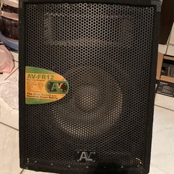 Home Used PA Speakers For Shows. Super Loud