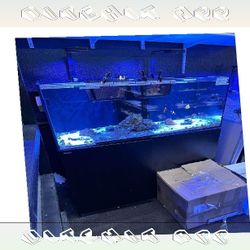 Elite Aquarium Setup - First-Class Quality everything answer