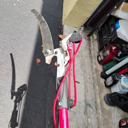 Pole Saw