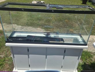 55 Gallon Fish Tank With Stand