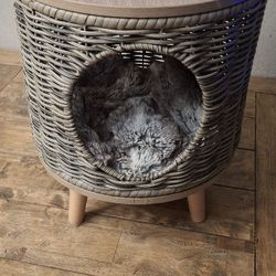 Cat House