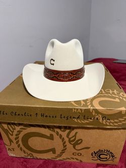 Charlie 1  Horse Hat