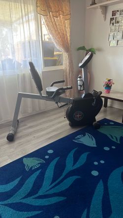 Schwinn Silver And Black Exercise Bike 