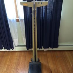 Scale & Height 