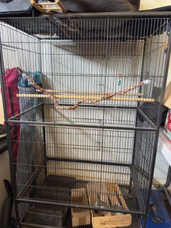XL bird cage