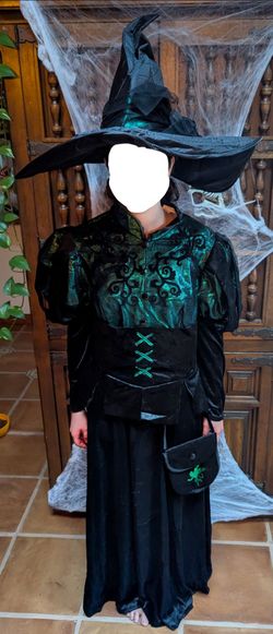 Elphaba Halloween Costume – Size M