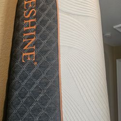 Queen Mattress And Box Springs
