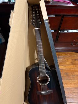 Mitchell 12 String