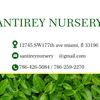 SantiRey Nursery