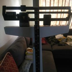 Scale
