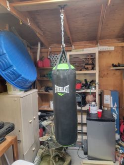 Punching Bag (Everlast)