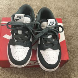 Nike Dunk Low /  toddler size 11c