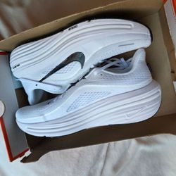 Nike Air winflo 12