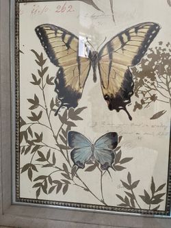 Beautiful Butterfly Framed Artwork With Mirror Behind It