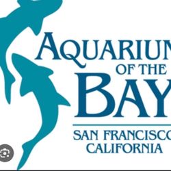 Aquarium Of The Bay