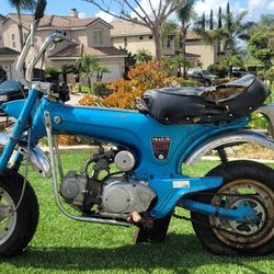 1970 Honda Ct70 trail