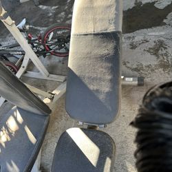 Wait Bench,weights,squat Bar 