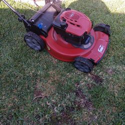 Self Propelled Mower 