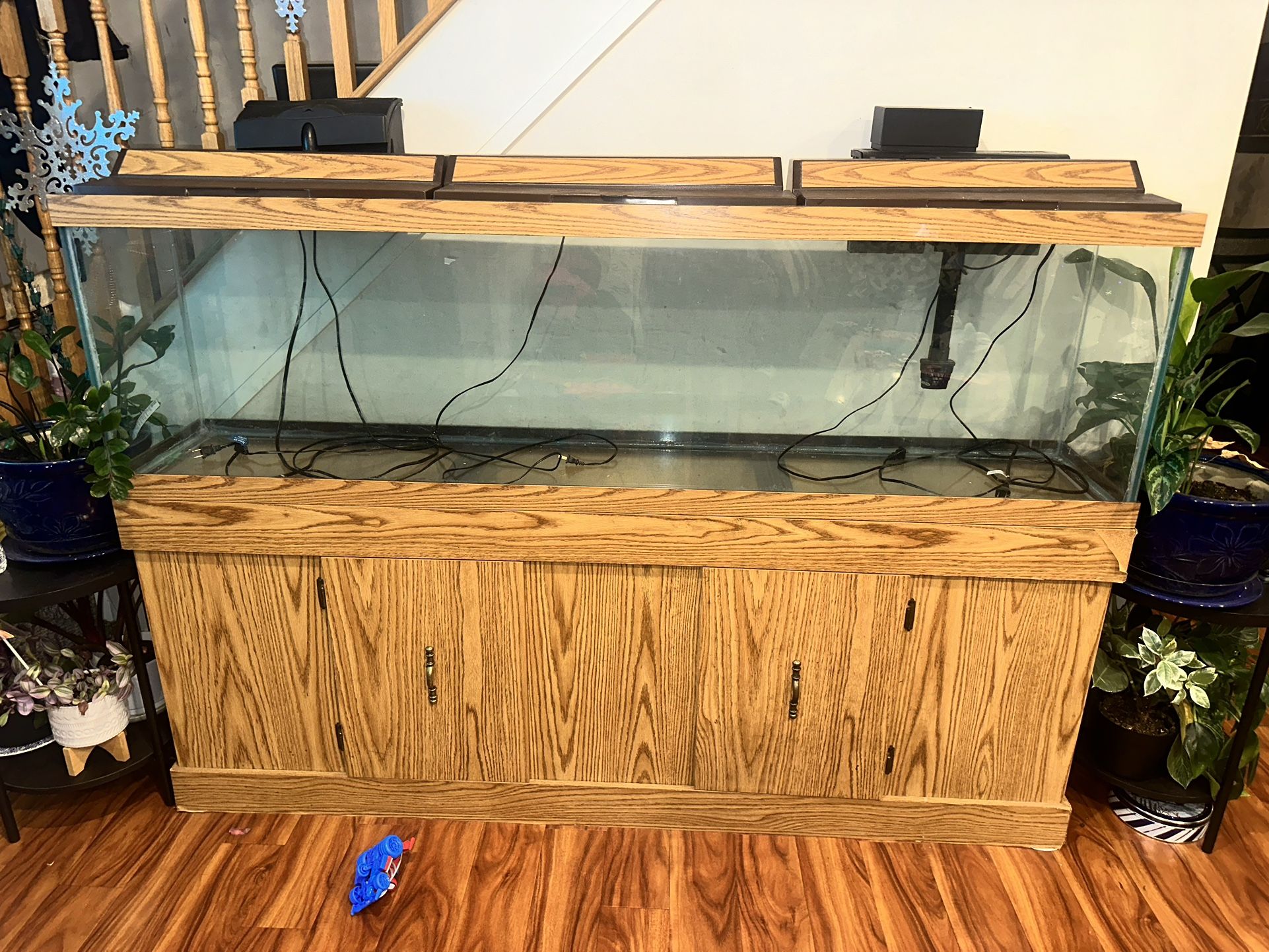 Fish Tank For Sale