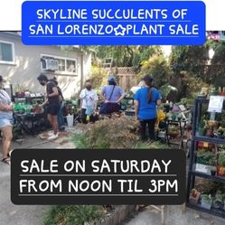 SUCCULENT ☆ PLANT SALE TODAY (SATURDAY) SATURDAY IN SAN LORENZO