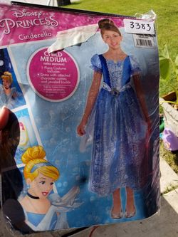 Cinderella costume new