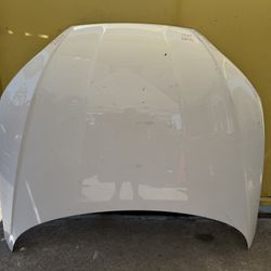 2017-2024 AUDI A4 HOOD