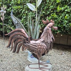 Cooper Rooster 🐓 