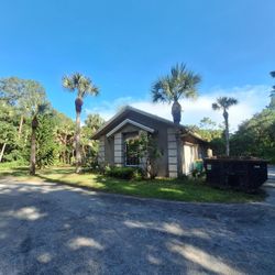 Tree’s Trimming Bushes And Remove 
