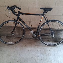 Raleigh 700c bike