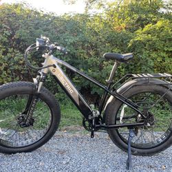 Lectric E-bike