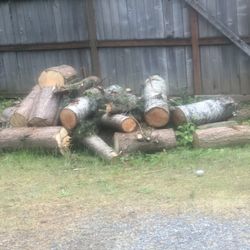 Wood Free