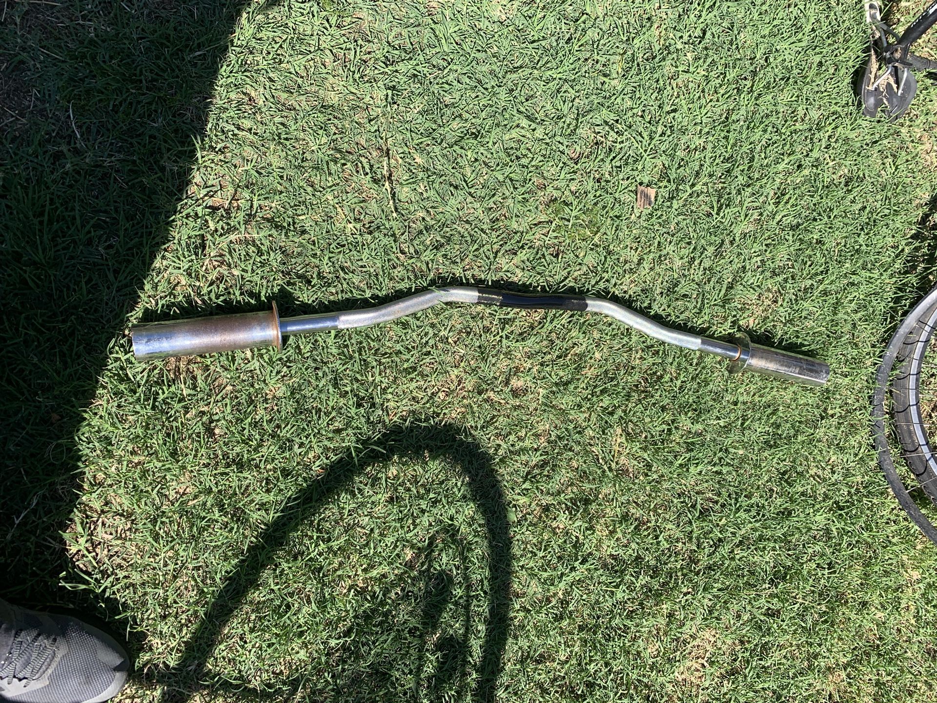 Offset Olympic Curl Bar