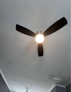 Ceiling Fan