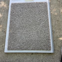 CARPET